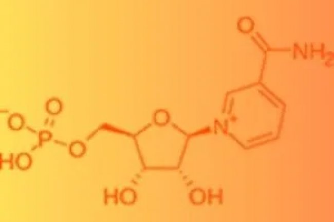 Human microglial cells as a therapeutic target in a neurodevelopmental disease model