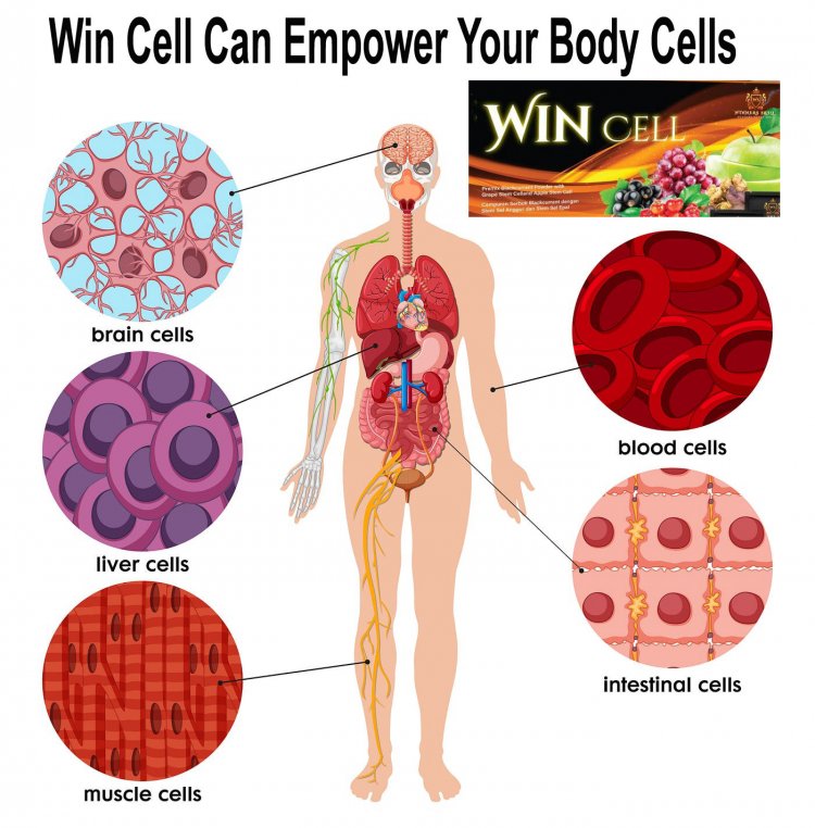Empowering your body cells involves supporting overall cellular health