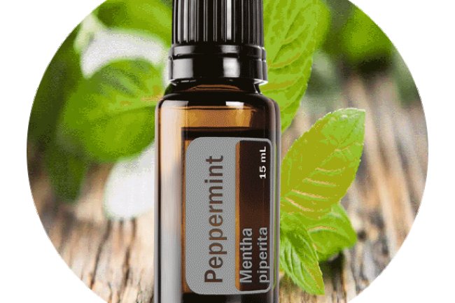 Using Tea Tree & Peppermint Essential Oils Combined